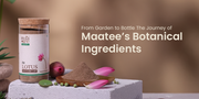 From Garden to Bottle: The Journey of Maatee’s Botanical Ingredients